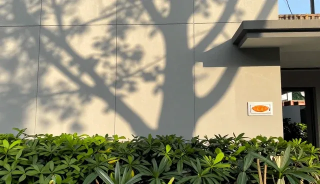慢病管理套餐使用中营养影响因素分析，处理方向明确